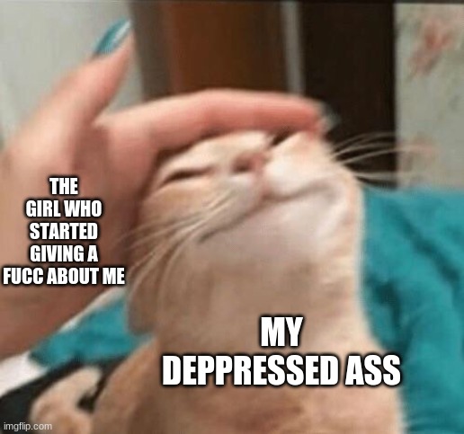 :) | THE GIRL WHO STARTED GIVING A FUCC ABOUT ME; MY DEPPRESSED ASS | image tagged in cat being pet | made w/ Imgflip meme maker