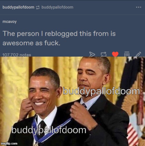 buddypallofdoom; buddypallofdoom | image tagged in obama medal,fun | made w/ Imgflip meme maker