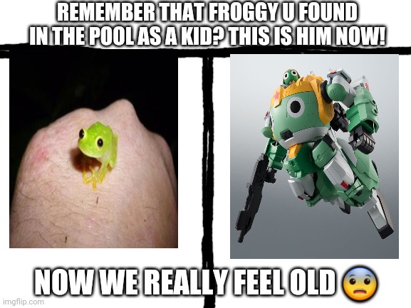 Feel old yet? | REMEMBER THAT FROGGY U FOUND IN THE POOL AS A KID? THIS IS HIM NOW! NOW WE REALLY FEEL OLD 😨 | image tagged in blank white template,frogs,feel old yet | made w/ Imgflip meme maker