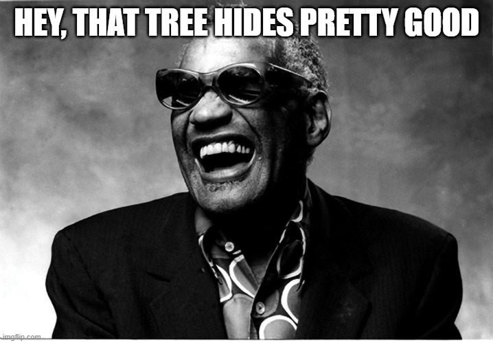 Blind man thing | HEY, THAT TREE HIDES PRETTY GOOD | image tagged in blind man thing | made w/ Imgflip meme maker