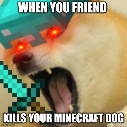 doge | WHEN YOU FRIEND; KILLS YOUR MINECRAFT DOG | image tagged in minecraft | made w/ Imgflip meme maker