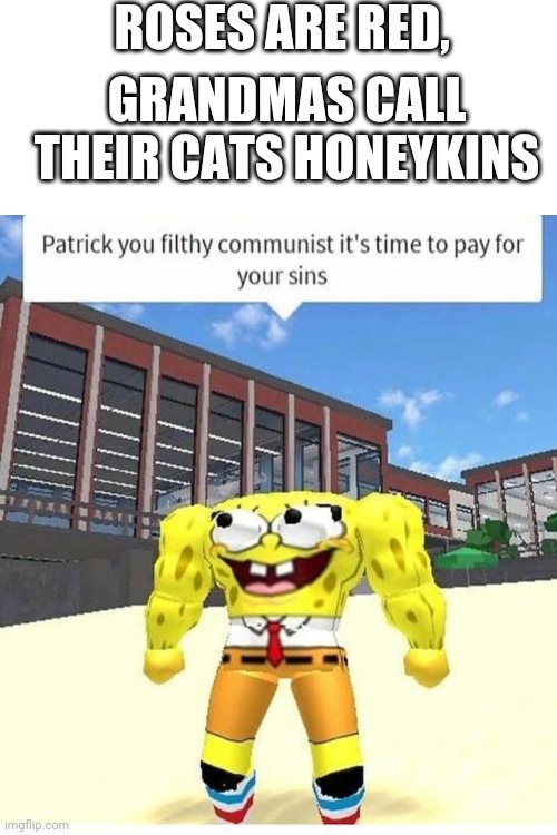 ROSES ARE RED, GRANDMAS CALL THEIR CATS HONEYKINS | image tagged in spongebob,roblox,memes,gifs | made w/ Imgflip meme maker