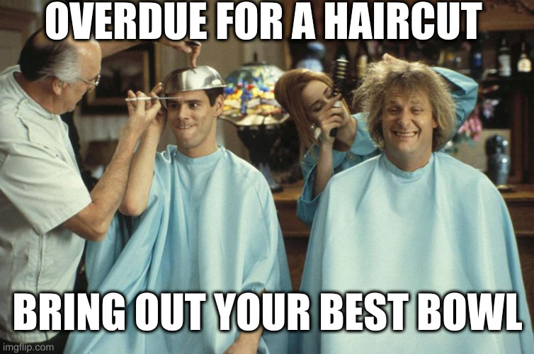 dumb haircut | OVERDUE FOR A HAIRCUT; BRING OUT YOUR BEST BOWL | image tagged in dumb haircut | made w/ Imgflip meme maker