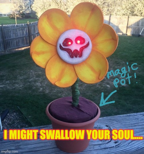 Free flowers! | I MIGHT SWALLOW YOUR SOUL.... | image tagged in flowey,free stuff,magic | made w/ Imgflip meme maker