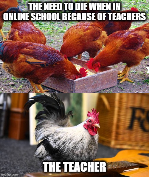 Online scools | THE NEED TO DIE WHEN IN ONLINE SCHOOL BECAUSE OF TEACHERS; THE TEACHER | image tagged in chicken | made w/ Imgflip meme maker