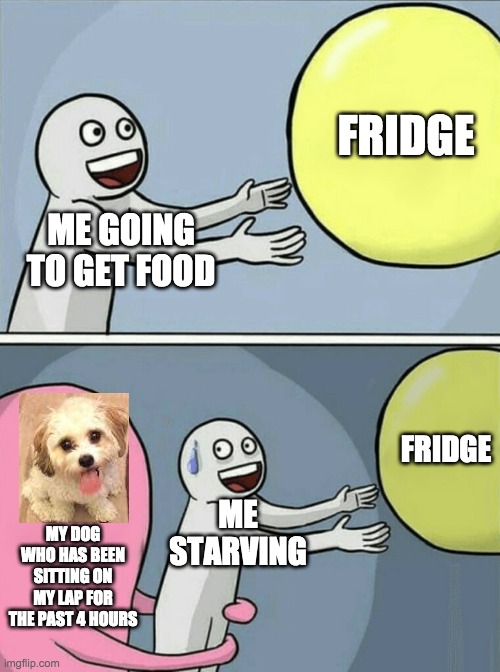 :) | FRIDGE; ME GOING TO GET FOOD; FRIDGE; MY DOG WHO HAS BEEN SITTING ON MY LAP FOR THE PAST 4 HOURS; ME STARVING | image tagged in running away balloon,cats,fridge,food | made w/ Imgflip meme maker
