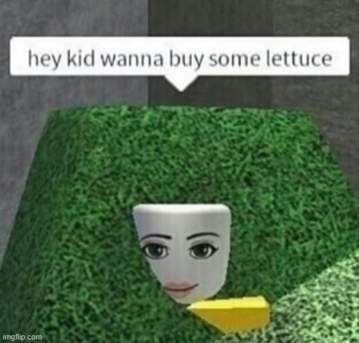 It'll cost ya $1 | image tagged in roblox,roblox meme,lettuce,hey | made w/ Imgflip meme maker