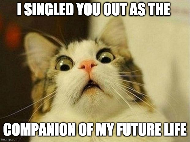 Mr. Collins goes to the animal shelter | I SINGLED YOU OUT AS THE; COMPANION OF MY FUTURE LIFE | image tagged in memes,scared cat | made w/ Imgflip meme maker