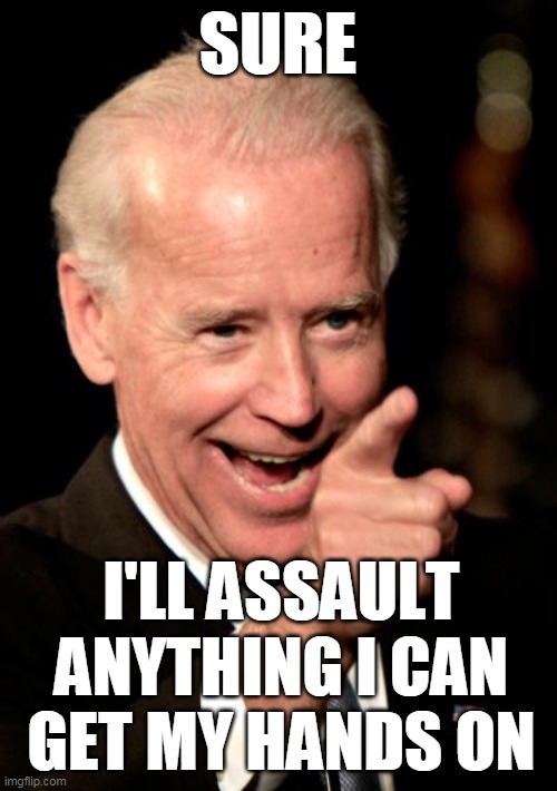 Smilin Biden Meme | SURE I'LL ASSAULT ANYTHING I CAN
GET MY HANDS ON | image tagged in memes,smilin biden | made w/ Imgflip meme maker