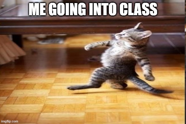 confidence | ME GOING INTO CLASS | image tagged in memes | made w/ Imgflip meme maker