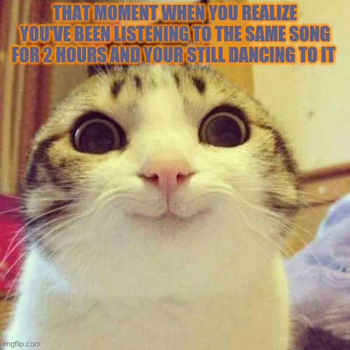 Smiling Cat Meme | THAT MOMENT WHEN YOU REALIZE YOU'VE BEEN LISTENING TO THE SAME SONG FOR 2 HOURS AND YOUR STILL DANCING TO IT | image tagged in memes,smiling cat | made w/ Imgflip meme maker
