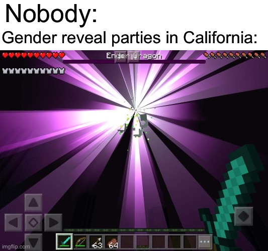 Boom | Nobody:; Gender reveal parties in California: | image tagged in minecraft,memes,2020 | made w/ Imgflip meme maker