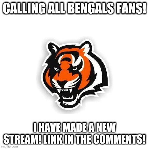 Cincinnati_Bengals | CALLING ALL BENGALS FANS! I HAVE MADE A NEW STREAM! LINK IN THE COMMENTS! | image tagged in cincinnati bengals | made w/ Imgflip meme maker