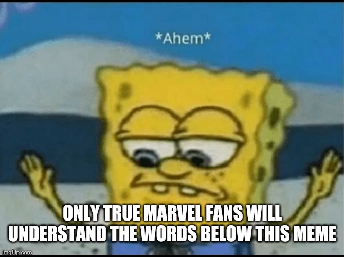 ONLY TRUE MARVEL FANS WILL UNDERSTAND THE WORDS BELOW THIS MEME | image tagged in ahem | made w/ Imgflip meme maker