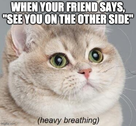 Heavy Breathing Cat Meme | WHEN YOUR FRIEND SAYS, "SEE YOU ON THE OTHER SIDE" | image tagged in memes,heavy breathing cat | made w/ Imgflip meme maker