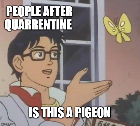 Is This A Pigeon | PEOPLE AFTER QUARRENTINE; IS THIS A PIGEON | image tagged in memes,is this a pigeon | made w/ Imgflip meme maker