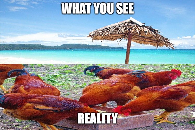 instagram posts be like | WHAT YOU SEE; REALITY | image tagged in oof | made w/ Imgflip meme maker