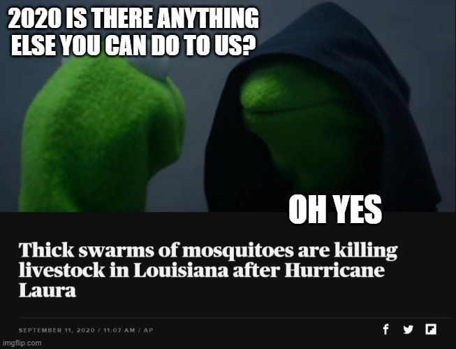 2020, good year. | 2020 IS THERE ANYTHING ELSE YOU CAN DO TO US? OH YES | image tagged in memes,evil kermit,fun,funny not funny | made w/ Imgflip meme maker