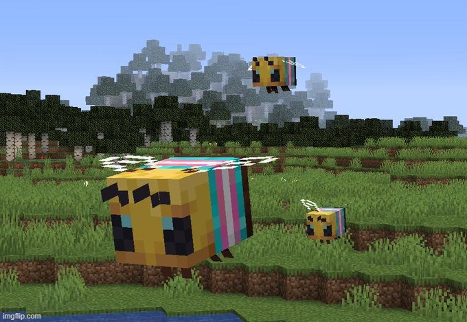 Trans Minecraft Bees flying | image tagged in trans minecraft bees flying | made w/ Imgflip meme maker
