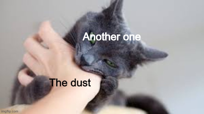  Another one; The dust | image tagged in funny,memes,dank,cats,funny cats,bruh moment | made w/ Imgflip meme maker