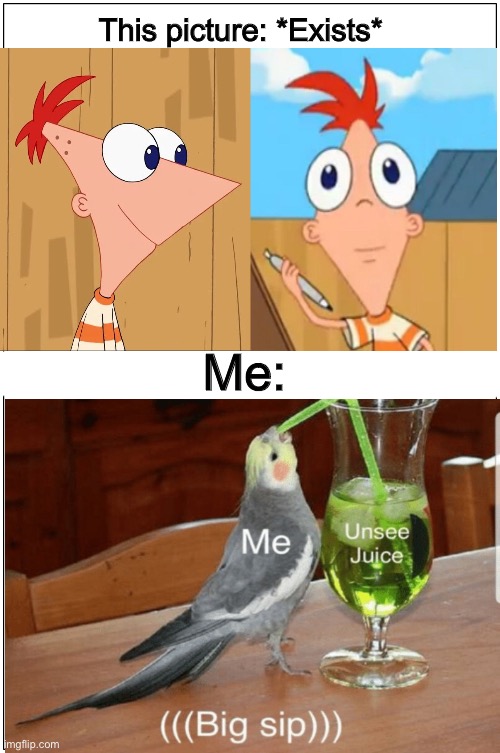 Blank Comic Panel 1x2 |  This picture: *Exists*; Me: | image tagged in memes,blank comic panel 1x2,phineas and ferb,dank memes,unsee juice,funny picture | made w/ Imgflip meme maker