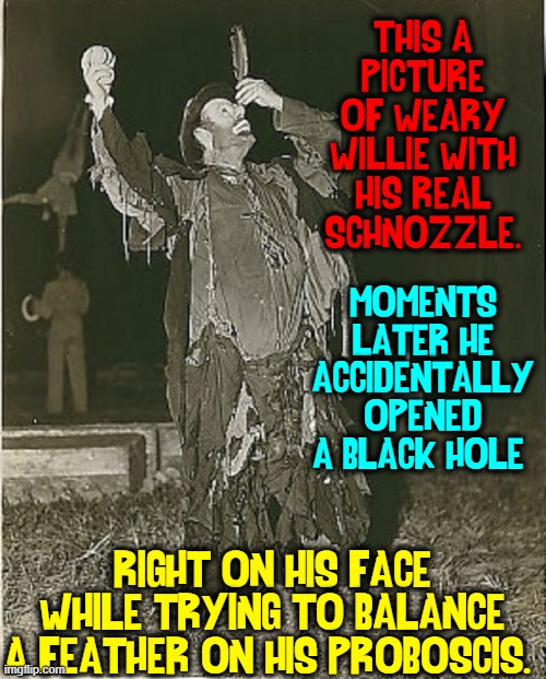 THIS A PICTURE OF WEARY WILLIE WITH HIS REAL SCHNOZZLE. RIGHT ON HIS FACE WHILE TRYING TO BALANCE A FEATHER ON HIS PROBOSCIS. MOMENTS LATER  | made w/ Imgflip meme maker