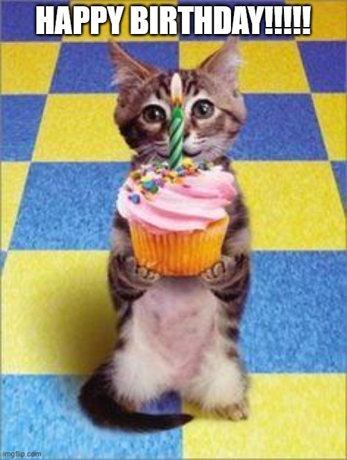 Happy Birthday Cat | HAPPY BIRTHDAY!!!!! | image tagged in happy birthday cat | made w/ Imgflip meme maker