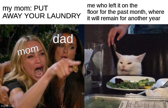 tru story doe | my mom: PUT AWAY YOUR LAUNDRY; me who left it on the floor for the past month, where it will remain for another year; dad; mom | image tagged in memes,woman yelling at cat | made w/ Imgflip meme maker