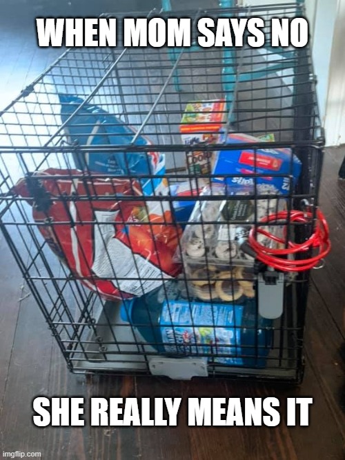 snacks | WHEN MOM SAYS NO; SHE REALLY MEANS IT | image tagged in funny | made w/ Imgflip meme maker