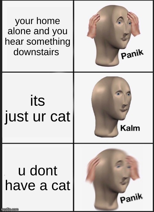Panik Kalm Panik Meme | your home alone and you hear something downstairs; its just ur cat; u dont have a cat | image tagged in memes,panik kalm panik | made w/ Imgflip meme maker
