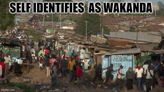 SELF IDENTIFIES  AS WAKANDA | image tagged in wakanda forever | made w/ Imgflip meme maker