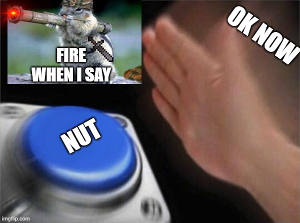 Blank Nut Button | OK NOW; FIRE WHEN I SAY; NUT | image tagged in memes,blank nut button | made w/ Imgflip meme maker