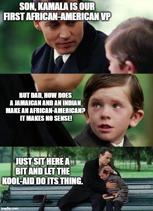 Democrats trying to explain the impossible | SON, KAMALA IS OUR FIRST AFRICAN-AMERICAN VP; BUT DAD, HOW DOES A JAMAICAN AND AN INDIAN MAKE AN AFRICAN-AMERICAN?  IT MAKES NO SENSE! JUST SIT HERE A BIT AND LET THE KOOL-AID DO ITS THING. | image tagged in crying-boy-on-a-bench,politics | made w/ Imgflip meme maker