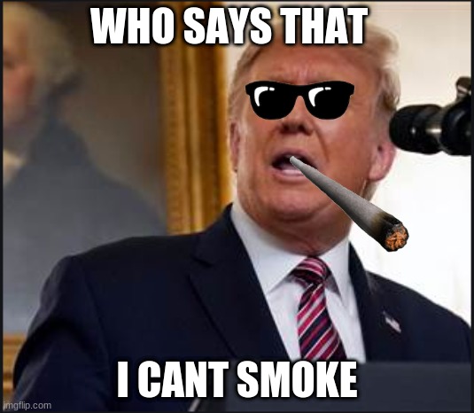 Donald Trump | WHO SAYS THAT; I CANT SMOKE | image tagged in funny memes | made w/ Imgflip meme maker