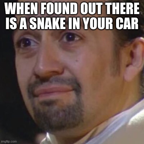 Hamilton | WHEN FOUND OUT THERE IS A SNAKE IN YOUR CAR | image tagged in sad hamilton,hamilton,fnaf,lol,memes | made w/ Imgflip meme maker