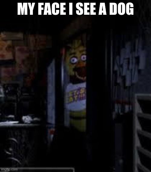 Chica Looking In Window FNAF | MY FACE I SEE A DOG | image tagged in chica looking in window fnaf | made w/ Imgflip meme maker