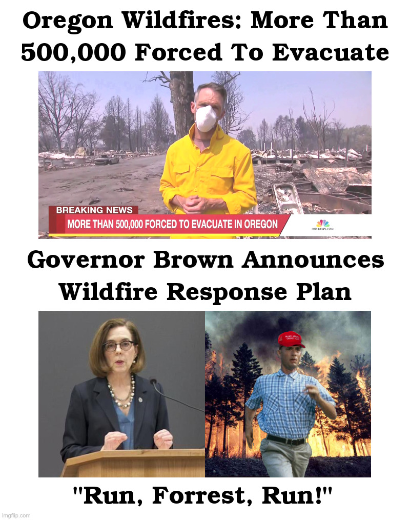 Another Blue State Run By Democrats Is On Fire | image tagged in kate brown,forest fire,forrest gump,need,oregon,national guard | made w/ Imgflip meme maker