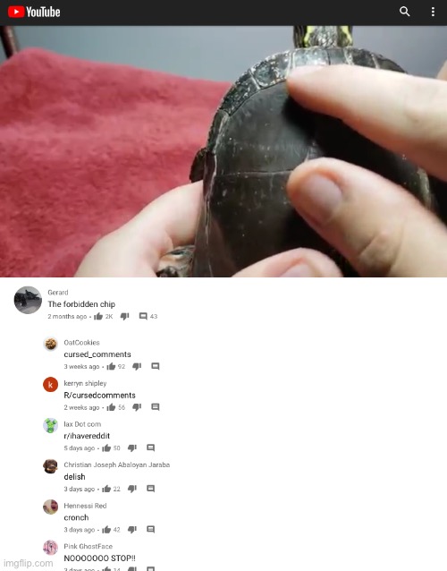 Does this count as as cursed comments | made w/ Imgflip meme maker