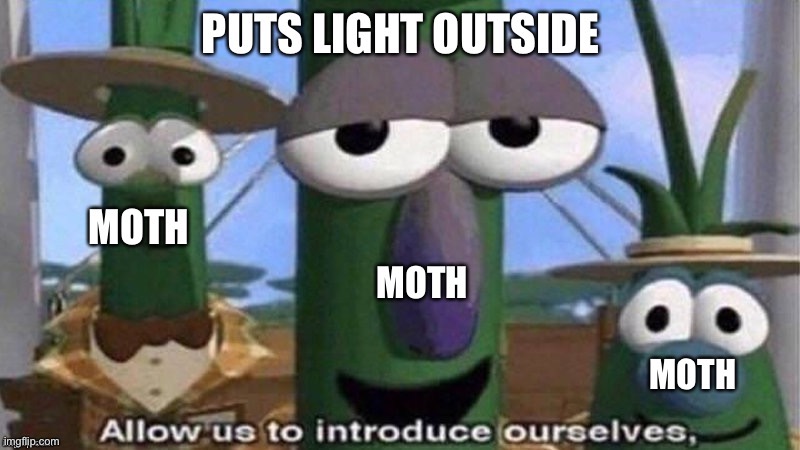 Veggie tales | image tagged in veggietales 'allow us to introduce ourselfs' | made w/ Imgflip meme maker