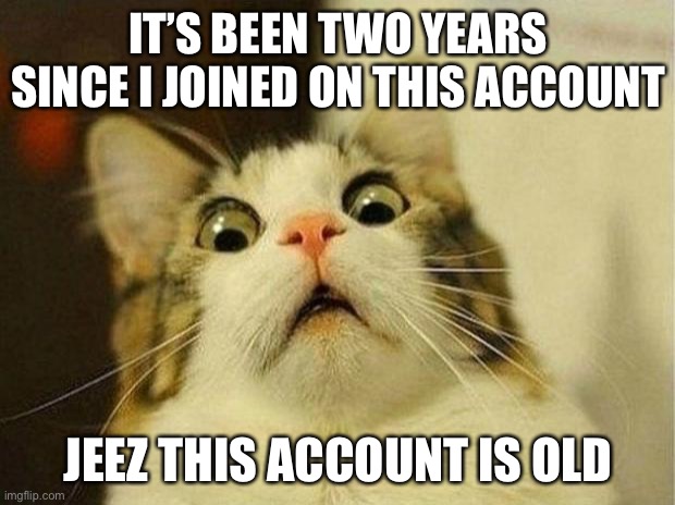 I’m back again |  IT’S BEEN TWO YEARS SINCE I JOINED ON THIS ACCOUNT; JEEZ THIS ACCOUNT IS OLD | image tagged in memes,scared cat | made w/ Imgflip meme maker