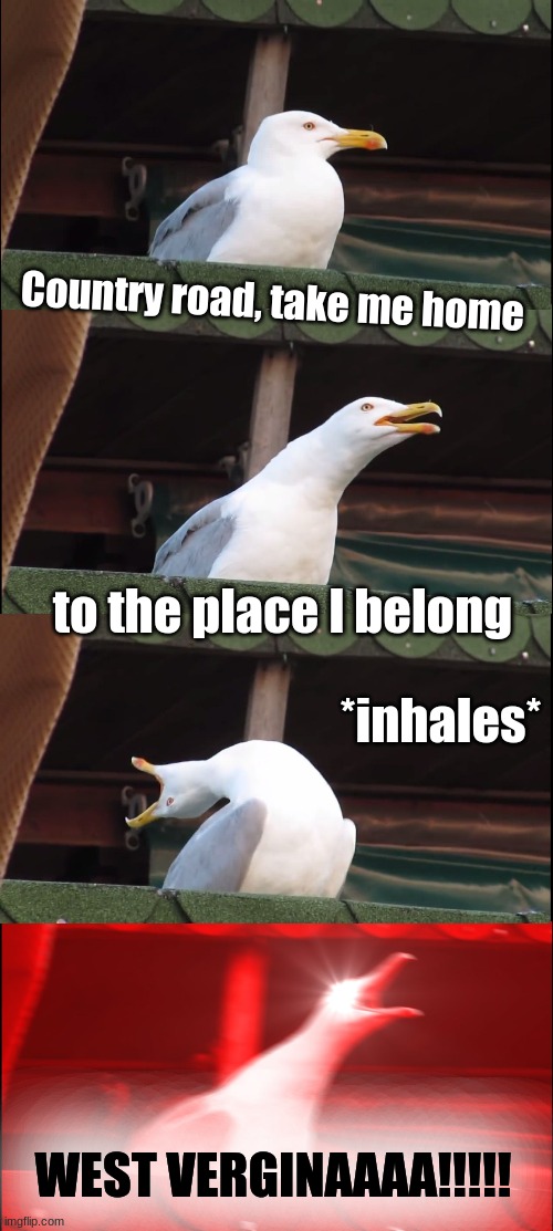 Inhaling Seagull | Country road, take me home; to the place I belong; *inhales*; WEST VERGINAAAA!!!!! | image tagged in memes,inhaling seagull | made w/ Imgflip meme maker