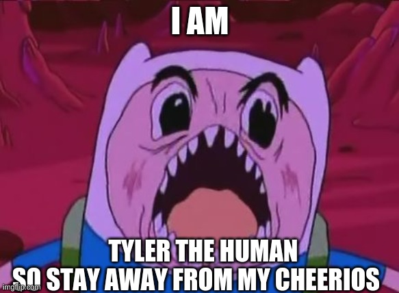 Finn The Human | I AM; TYLER THE HUMAN
SO STAY AWAY FROM MY CHEERIOS | image tagged in memes,finn the human | made w/ Imgflip meme maker