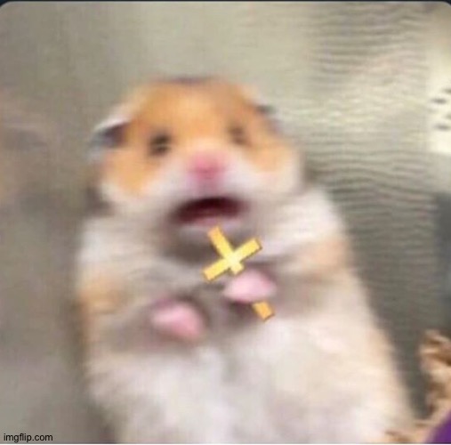 shook christian hamster | image tagged in shook christian hamster | made w/ Imgflip meme maker