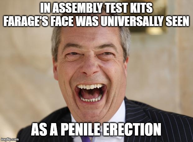 Nigel Farage | IN ASSEMBLY TEST KITS FARAGE'S FACE WAS UNIVERSALLY SEEN; AS A PENILE ERECTION | image tagged in nigel farage | made w/ Imgflip meme maker