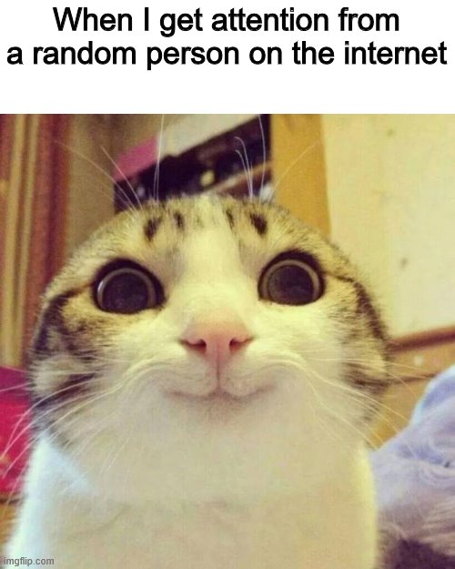 Smiling Cat Meme | When I get attention from a random person on the internet | image tagged in memes,smiling cat | made w/ Imgflip meme maker