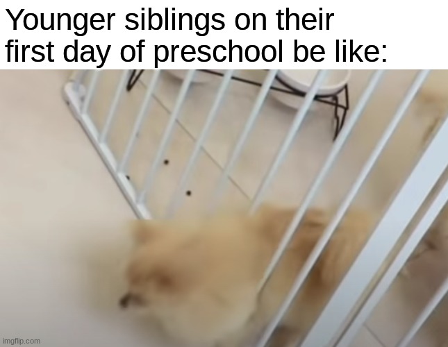 Younger siblings on their first day of preschool be like: | made w/ Imgflip meme maker