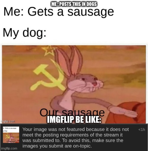 This was exactly on topic! | ME : POSTS THIS IN DOGS; IMGFLIP BE LIKE: | image tagged in imgflip moderation be like | made w/ Imgflip meme maker