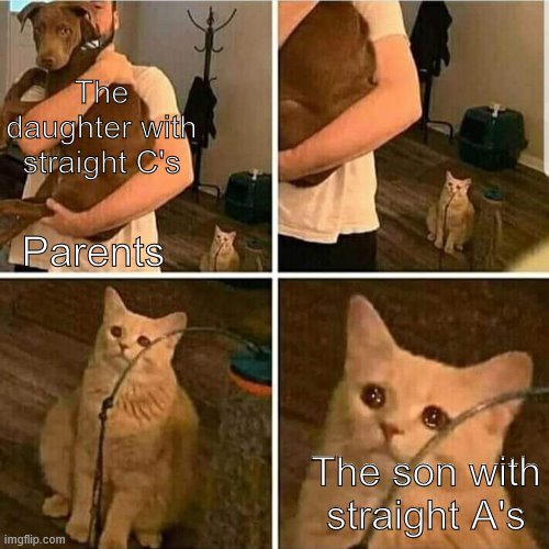Sad Cat Holding Dog | The daughter with straight C's; Parents; The son with straight A's | image tagged in sad cat holding dog | made w/ Imgflip meme maker