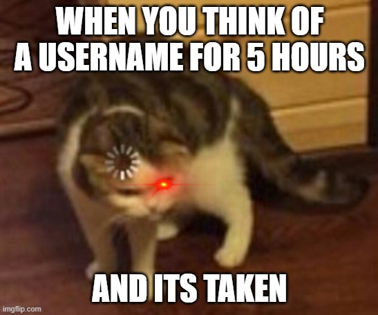 Loading cat | WHEN YOU THINK OF A USERNAME FOR 5 HOURS; AND ITS TAKEN | image tagged in loading cat | made w/ Imgflip meme maker