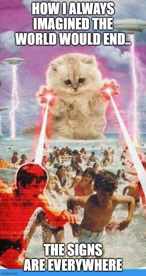 how I envision the end | HOW I ALWAYS IMAGINED THE WORLD WOULD END.. THE SIGNS ARE EVERYWHERE | image tagged in cats,the end,funny memes,laughing | made w/ Imgflip meme maker